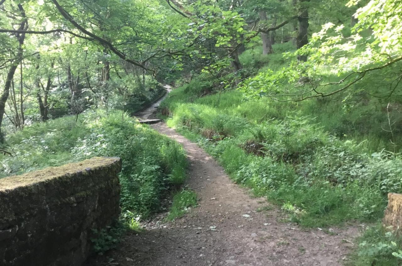 Tyas Cottage Slaithwaite 外观 照片
