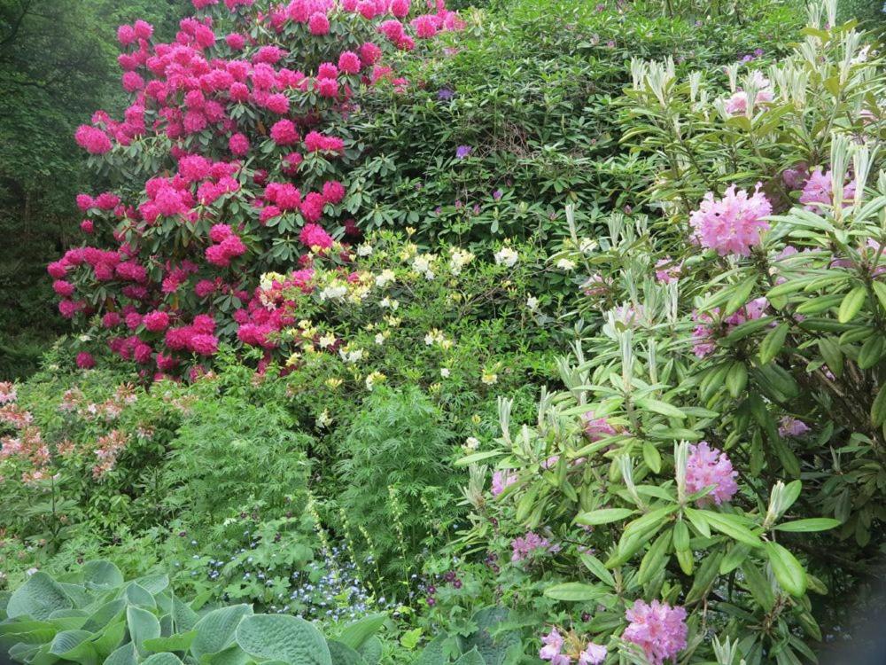 Tyas Cottage Slaithwaite 外观 照片